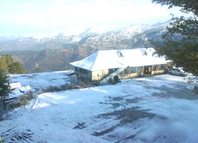 Oyo 43476 Vatika Resort Simlá Kültér fotó