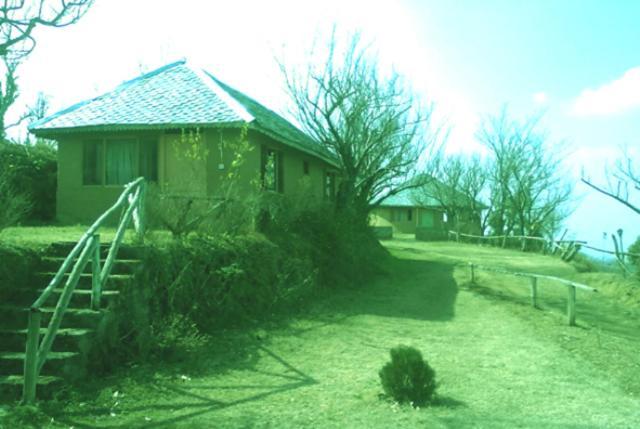 Oyo 43476 Vatika Resort Simlá Kültér fotó