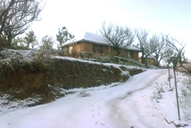 Oyo 43476 Vatika Resort Simlá Kültér fotó