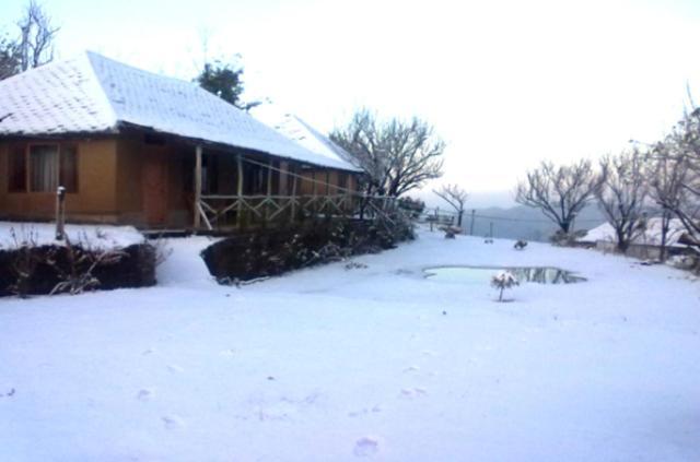 Oyo 43476 Vatika Resort Simlá Kültér fotó